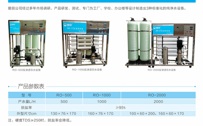 碧丽净水器-RO-1000反渗透饮水设备